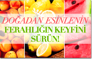 Solutions Meyveler